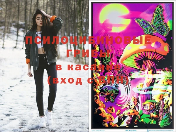 a pvp Дмитровск