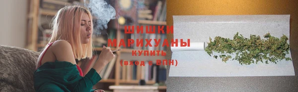 круглые Гусиноозёрск