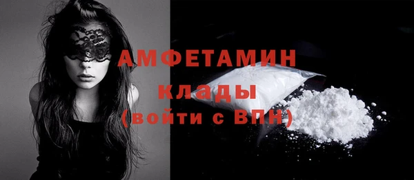 сатива Гусев