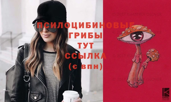 MDMA Дмитров